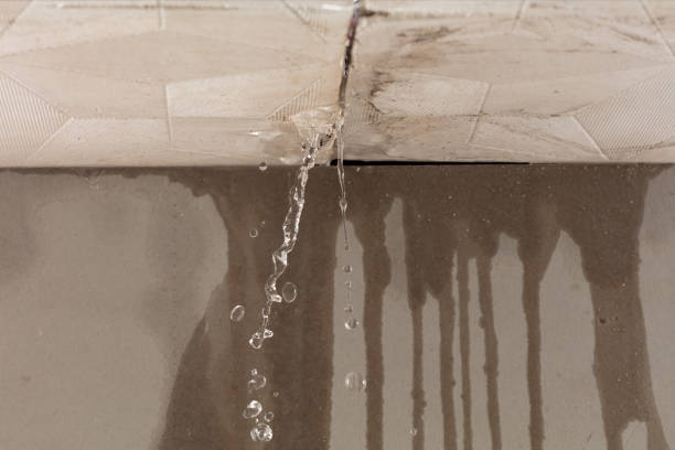 Professional Burst Pipe Cleanup technician working in West Point, NE